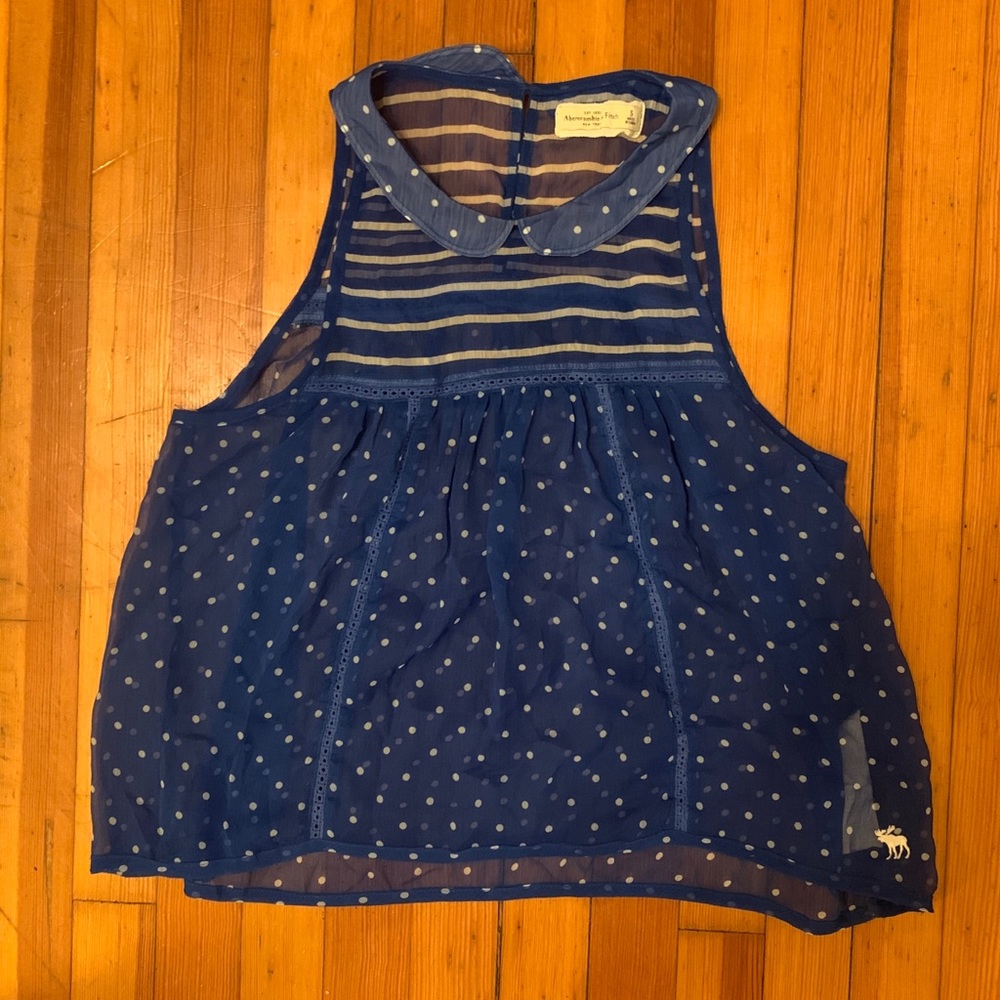 Blue Polka Dot Sheer Blouse w/ Peter Pan Collar